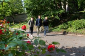 eleves stmg icof lyon Campus Saint Irenee ICOF